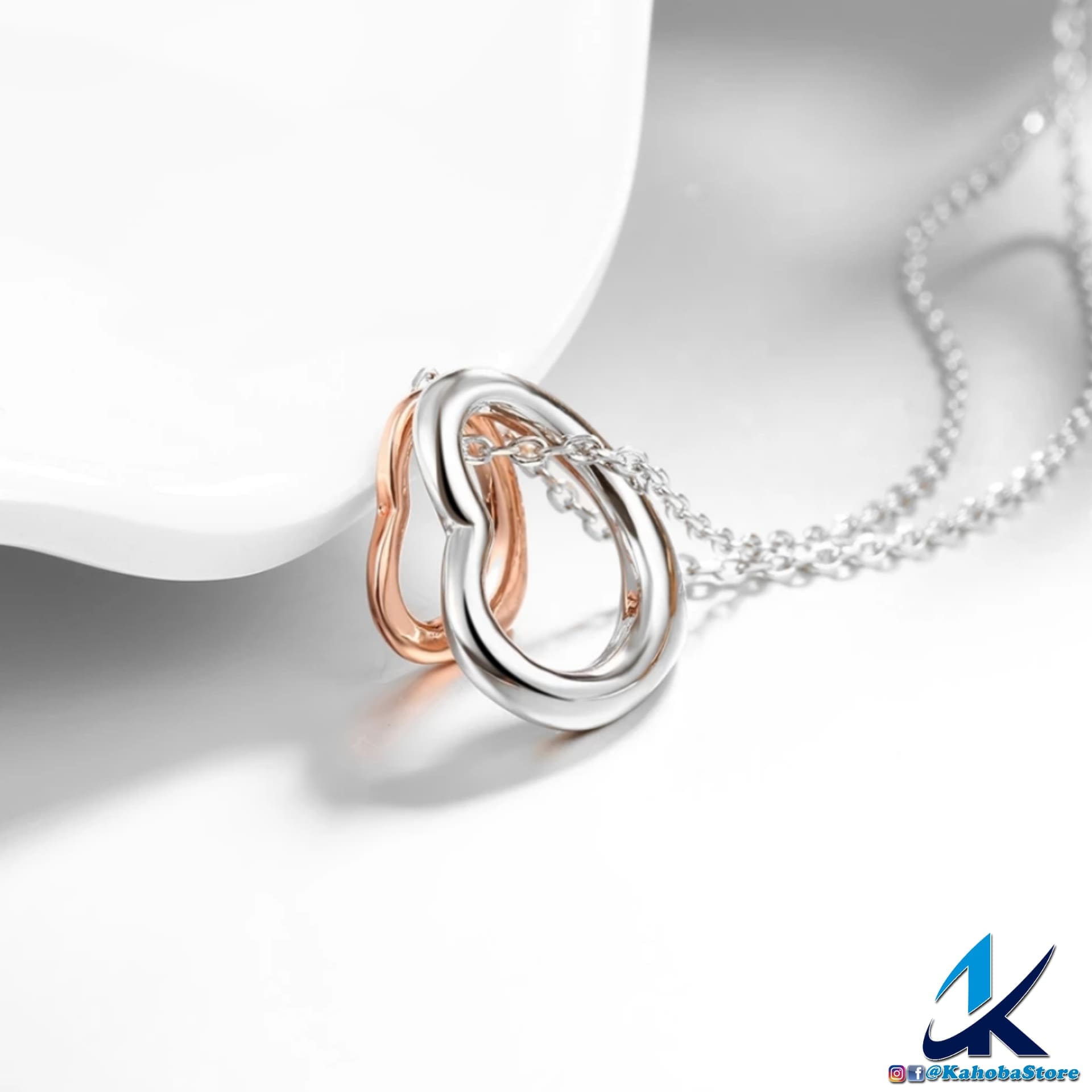 Collar inox doble corazón plata
